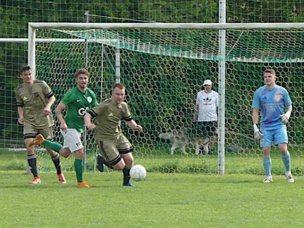 SV Leusel - TV-VfR Gro�-Felda  2-2  10